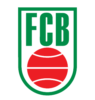 巴西FCB比赛图标