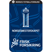 挪威杯比赛图标