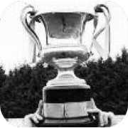 北爱中杯比赛图标