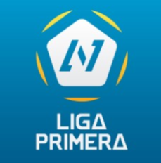 尼加青联比赛图标